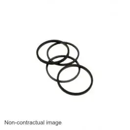 Pas Cher Kit joints pour étrier 4 pistons AP Racing CP4518-JJ